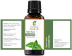 Essential Oils 4oz - 100% Pure and Natural - Therapeutic Grade Oil - Huge 4 Fluid Ounces Bottle with Premium Glass Dropper (Catnip Oil)