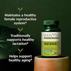 Banyan Botanicals Organic Shatavari Tablets – Rejuvenating Tonic for Feminine Vitality & Reproductive Health – Cooling Adaptogen for Internal Balance & Stress Support – 90 Tablets – USDA Organic