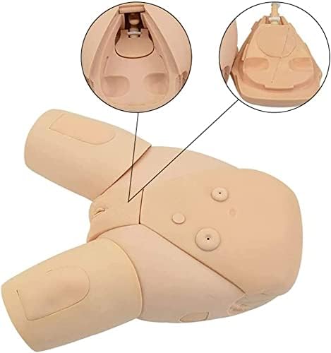 Male and Female Manikin Urinary Catheterization Model Nursing Practice Simulator Interchangeable Mannequin for Nursing Medical Training