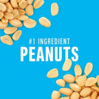 KIND Minis, Peanut Butter Dark Chocolate, 0.7 Oz (Pack Of 10)