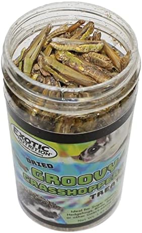 Groovy Grasshoppers - All Natural Healthy High Protein Insect Treat - Chickens, Birds, Hedgehogs, Bluebirds, Reptiles, Sugar Gliders, Opossums, Skunks, Lizards, Fish, Turtles, Amphibians (1.4 oz)