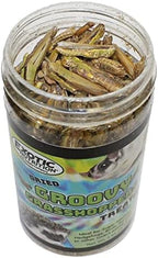 Groovy Grasshoppers - All Natural Healthy High Protein Insect Treat - Chickens, Birds, Hedgehogs, Bluebirds, Reptiles, Sugar Gliders, Opossums, Skunks, Lizards, Fish, Turtles, Amphibians (1.4 oz)