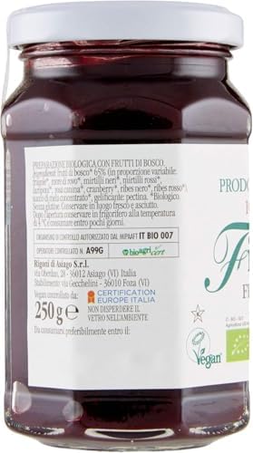 Rigoni di Asiago Fiordifrutta Organic Fruit Spread, Wild Berries, 8.82 Ounce (Pack of 6)