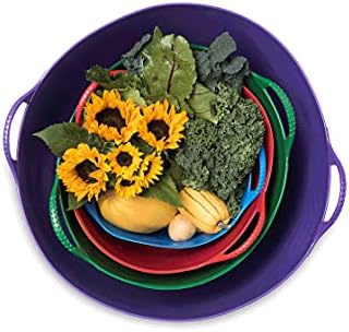 Red Gorilla Small Flexible Plastic Tub, Toy Storage, Laundry, Gardening & More, 38 Liter/9.9 Gallons, Blue