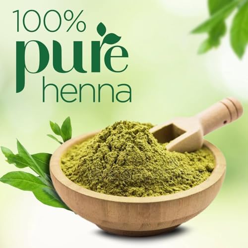 Godrej Nupur Henna Mehndi | 500 gram(17.64 Ounce) | Pack of 1