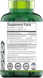 tnvitamins Boswellia Extract Capsules, 120 Count | 1,200 mg Per Capsule | 65% Boswellic Acids + 10:1 Concentrated Extract | Boswellia Serrata | Joint & Mobility Support*