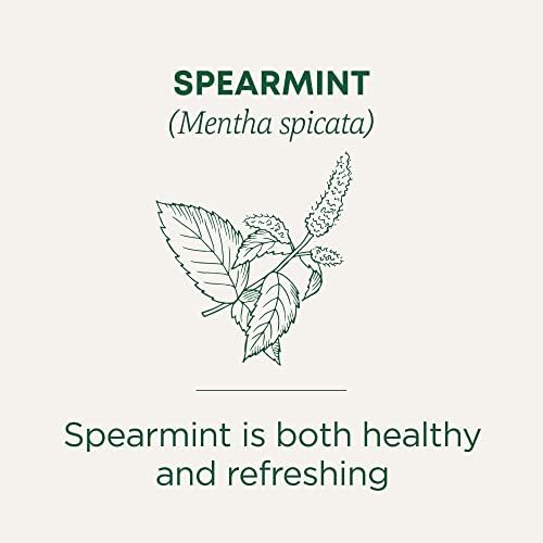 Traditional Medicinals Organic, Spearmint Tea - Supports Everyday Wellness, Healthy & Refreshing - Kosher, Non-GMO, Caffeine-Free, Compostable - 16 Tea Bags