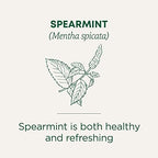 Traditional Medicinals Organic, Spearmint Tea - Supports Everyday Wellness, Healthy & Refreshing - Kosher, Non-GMO, Caffeine-Free, Compostable - 16 Tea Bags
