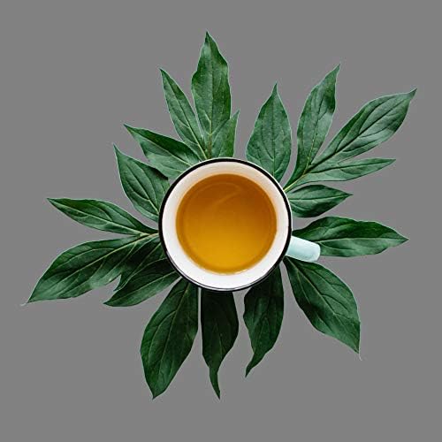 Tropical Paradise Green & Black Loose Leaf Tea - Mango, Strawberry, Papaya - Caffeinated | bulk 8oz, 80-100 cups | The Spice Hut, First Sip of Tea