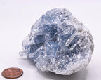 HQRP 3.3" 340g Translucent Blue Celestite Druzy Cluster Rough Natural Sparkling Gemstone Celestine Crystal Mineral Geode Décor Specimen Raw - Madagascar