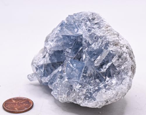 HQRP 3.3" 340g Translucent Blue Celestite Druzy Cluster Rough Natural Sparkling Gemstone Celestine Crystal Mineral Geode Décor Specimen Raw - Madagascar