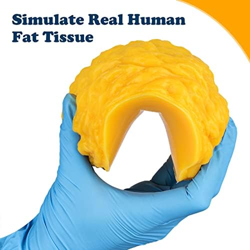 SimCoach Human Body Fat Replica 1 lb with Display Base, Keep Fit & Weight Loss Motivation & Reminder, Human Fatty Tissue Demonstration Model for Nutritionist