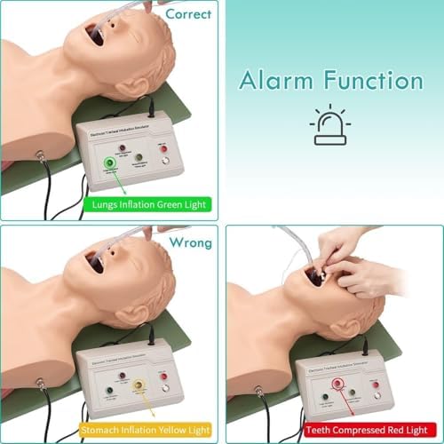 Intubation of Airway Management Trainer Intubation Manikin Training Simulator Airway Management Trainer Intubation Head Teaching Study Model Manikin