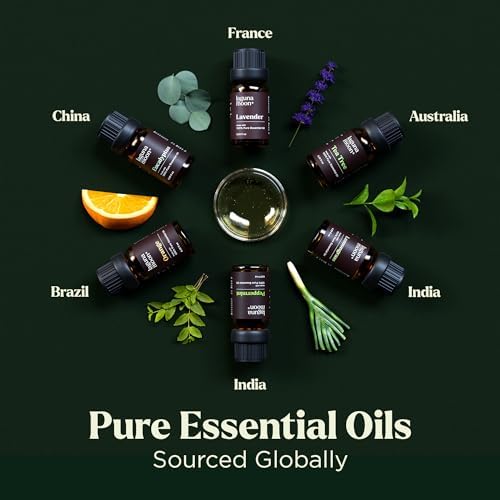 Lagunamoon Essential Oils Aromatherapy Set - 6 Oils for Diffusers, Home Care, Candle Making Scents, Fragrance, Humidifiers, Gifts - Peppermint, Tea Tree, Lavender, Eucalyptus, Orange (10mL)