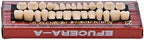 Angzhili Dental Acrylic Resin Denture Tooth Kit False Tooth For Halloween Horror Prop 23 A2(28 Pcs/Set)