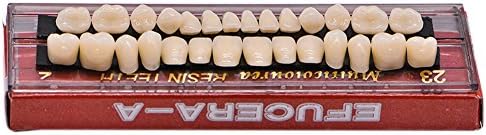 Angzhili Dental Acrylic Resin Denture Tooth Kit False Tooth For Halloween Horror Prop 23 A2(28 Pcs/Set)
