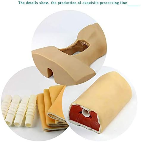 GHDE&MD PVC Tracheostomy Simulator Model, Cricothyrotomy, Tracheotomy Care Training Manikin