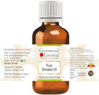 Greenwood Essential Pure Shikakai Oil (Acacia concinna) Natural Therapeutic Grade 100ml (3.38 oz)