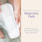 Lansinoh Postpartum Maxi Pads Bundle, 40 Count, Heavy Absorbency Overnight Pads with Wings, Includes 2 Sizes for Extra Protection, Postpartum Essentials