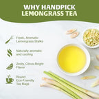 HANDPICK, Lemongrass Tea Bags (100 Count) Non-GMO, Caffeine Free - Quality Lemongrass Herbal Tea- Eco-conscious Round Tea Bags | Brew Hot or Iced Tea