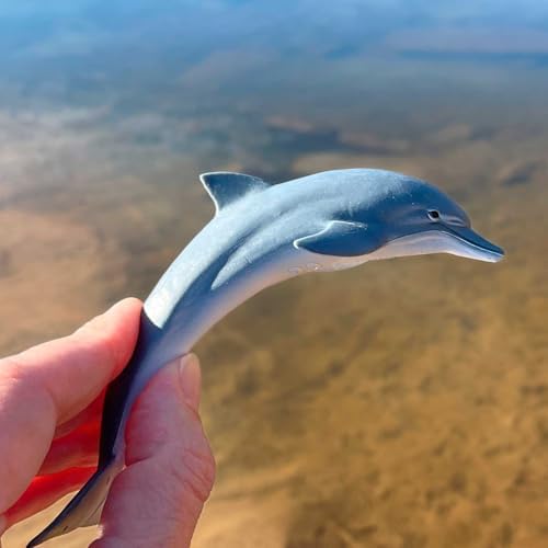 Safari Ltd Dolphin Figurine - Lifelike 4.5" Model Figure - Educational Toy for Boys, Girls, and Kids Ages 3+