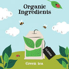 Clipper Pure Green 80 Teabags (Pack of 3, Total 240 Teabags)