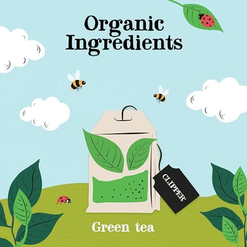 Clipper Pure Green 80 Teabags (Pack of 3, Total 240 Teabags)