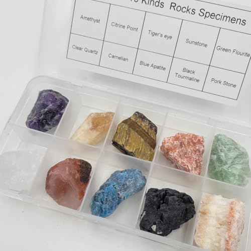 10 Kinds Crystal and Healing Stones Rocks and Mineral for Tumbling,Gemstone Raw Crystals Rough Stones for Polishing Wicca & Reiki (Rough)