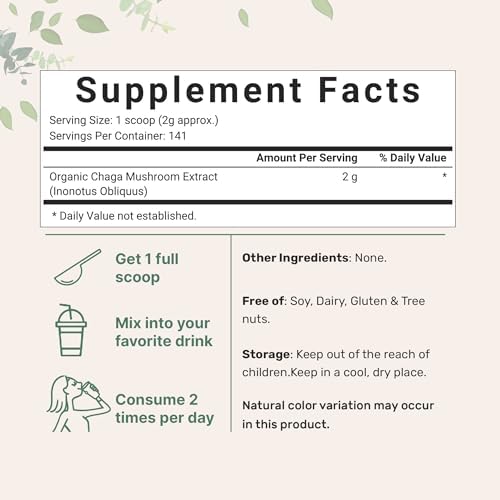 Micro Ingredients Organic Chaga Mushroom Extract, 10 oz | 100:1 Wild Harvested | Supports Immune & Antioxidant Defense | Great for Tea & Smoothies | Non-GMO, Vegan Friendly