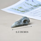 Moonstone Raven Skull Figurine Crystal Healing Stone Spiritual Meditation Pocket Figurine Natural Gemston Hand Carved Polished Home Room Office Desk Decoration Gift Collect