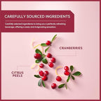 Wissotzky Cranberry Herbal Tea, 20 Teabags | Refreshing Blend | Caffeine Free Tea | Antioxidant Rich
