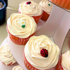 Icing Ladybugs and Daisies | Edible Decorations | Mini Icing Ladybugs & White Sugar Daisies | Spring Cake Toppers | Simply Sucré (18 Ladybug/Daisies)