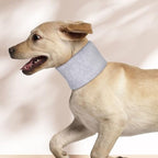 Haofy Dog Neck Support Collar Adjustable Prevent Licking Protective Pet Cervical Collar Neck Brace for Cats Post Surgery (L)