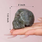 2inch Labradorite Crystal Carved Skull Statue Spiritual Decor Skull Bathroom Decor Bathroom Decor Home Office Decoration Hand Carved Gemstone Reiki Healing for Woman Gift.
