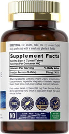 Carlyle Iron Ferrous Sulfate 325mg, 65 mg | 400 Tablets | Non-GMO, Gluten Free, and Vegetarian Supplement | High Potency