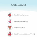 Thyroid Test | 4-in-1 at-Home Thyroid Test | Choose Health | TSH | T3 | T4 | TPO-Ab | at-Home Test | Cap & CLIA Accredited Lab | Not Avail in NY & RI