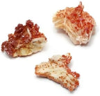 CrystalAge Vanadinite Healing Mineral Specimen - Small (~20mm)