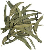 Eucalyptus Dried Whole Leaves, 2 oz, Hojas De Eucalipto, Eucalyptus Herbal Tea 2 oz, Product From India, Packaged in the USA