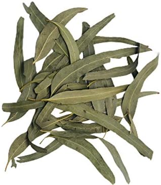 Eucalyptus Dried Whole Leaves, 2 oz, Hojas De Eucalipto, Eucalyptus Herbal Tea 2 oz, Product From India, Packaged in the USA