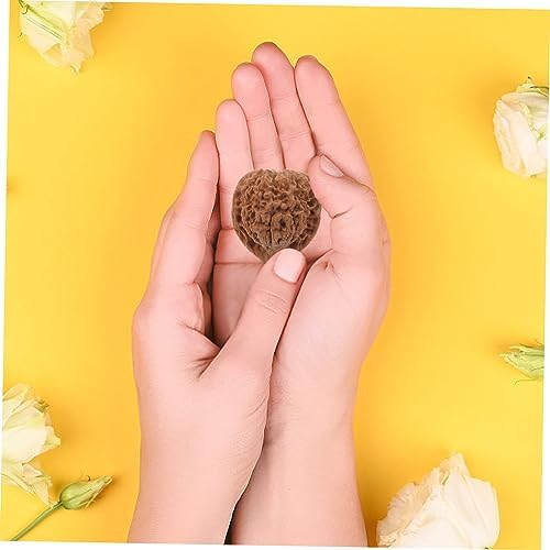 Gatuida 2pcs Walnut Hand for Fitness and Massage Traditional Hand Exercise Equipment for Relief Easy to Clean Compact Design and Muscle Flexibility