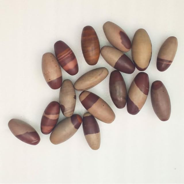 Narmada Shiva Lingam Stone 1.3 Inch Set of 11 – Natural Narmadeshwar Banalinga from Narmada River, Sacred Shivling for Pooja, Meditation, Reiki Healing & Spiritual Energy