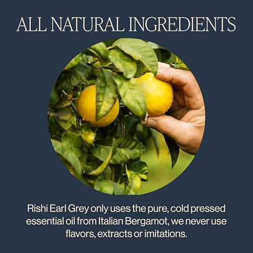 Rishi Tea Earl Grey Tea - Organic Loose Leaf Pure Black Tea with Bergamot Oil, Energizing & Caffeinated - 4 Ounces, 12+ Servings