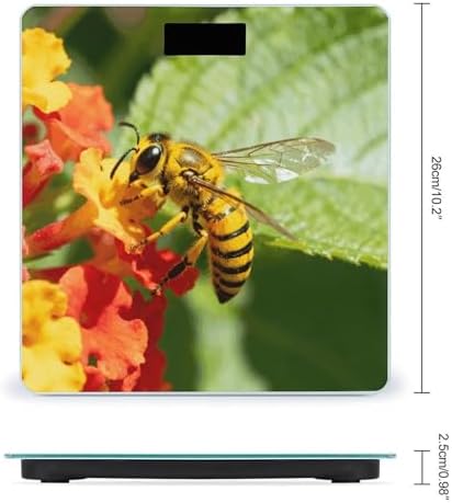 Yellow Bee Body Weight Scale Accurate Stable Digital Bathroom Scale Safe Anti-Slip Home Scale with LCD Display, Anti-Slip Base & Safe Rounded Edge Design for Home Use