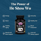 Dragon Herbs He Shou Wu | Prepared He Shou Wu Supplement to Support Energy, Mood, Immune Support, Healthy Aging, Hair | All Natural Ingredients, Non-GMO (100 Capsules, 500 mg Per Capsule