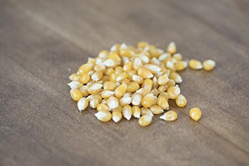 Amish Country Popcorn | 50 LB Medium Yellow Popcorn | Old Fashioned, Non-GMO and Gluten Free (50lb Bag)