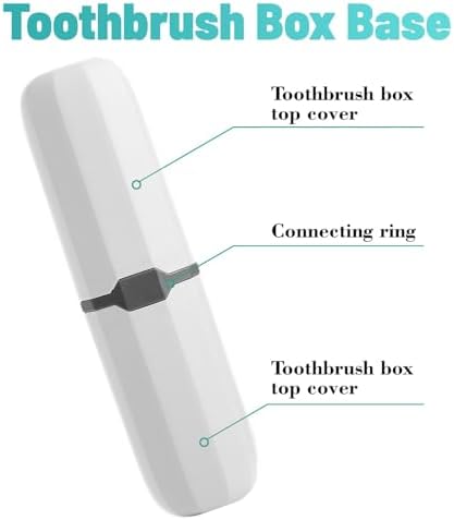 2Pcs Denture Cleaning Brush Kit False Teeth Toothbrushes with 1 White Carrying Case Travel Multi-Layered Soft Bristles Denture Cleaner Ergonomic Rubber Handle(Green and Purple)