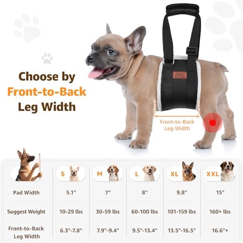 Adjustable Dog Lift Harness, Dog Sling for Small Dogs Lift Support and Rehab Harness for Weak Rear Legs, Soft Hind Leg Support Helps Senior, Injured, Disabled and After ACL Surgery Dogs(Black,Small)