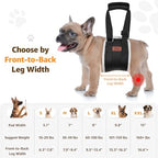 Adjustable Dog Lift Harness, Dog Sling for Small Dogs Lift Support and Rehab Harness for Weak Rear Legs, Soft Hind Leg Support Helps Senior, Injured, Disabled and After ACL Surgery Dogs(Black,Small)