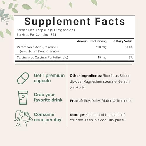 Pantothenic Acid Vitamin B5 Supplement, Vitamin B5 500mg Per Count, 365 Capsules (1 Year Supply), B-Complex Vitamin, Support Energy Production and Nervous System, Non-GMO