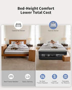 OhGeni Queen Air Mattress with Built in Pump, Ideal Alternative to a Bed, Inflatable Blow Up Mattress 18 Raised Comfort, Upgraded Surface Portable Bed for Home, Camping, Colchone Inflable, 650 lbs